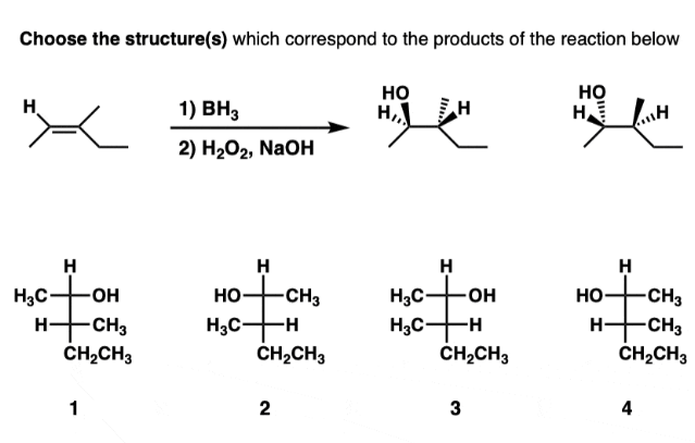 ochem question